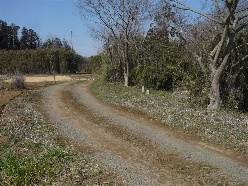 1503-03NamegataKurakawa2