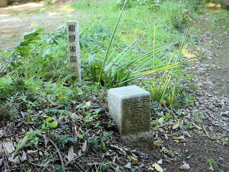 1510-10KouzakiMiyayama1