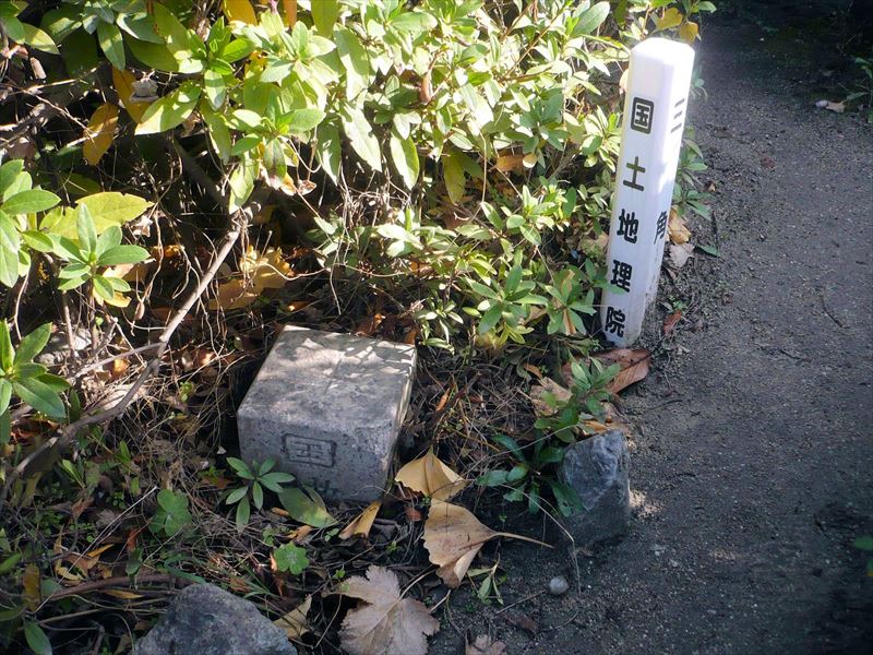 1512-33MorigutiSatanaka1