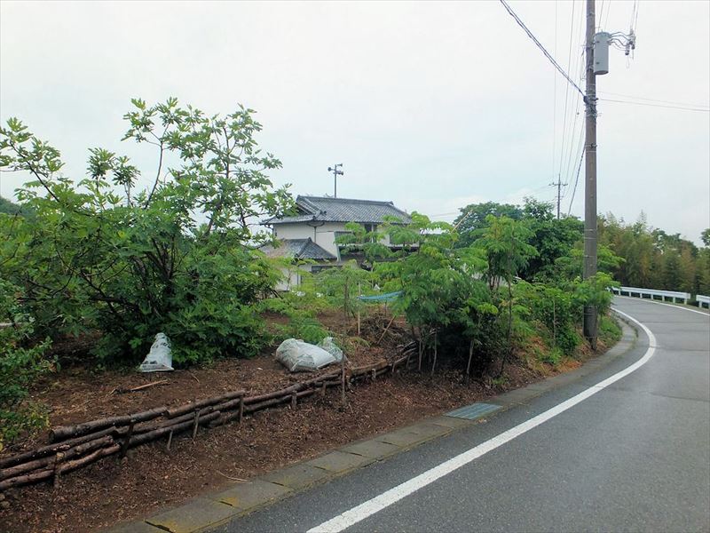 1512s-72SibukawaNakako2