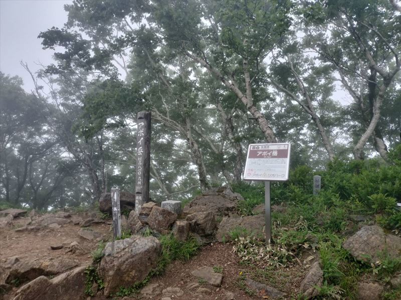 2512m-09sama2